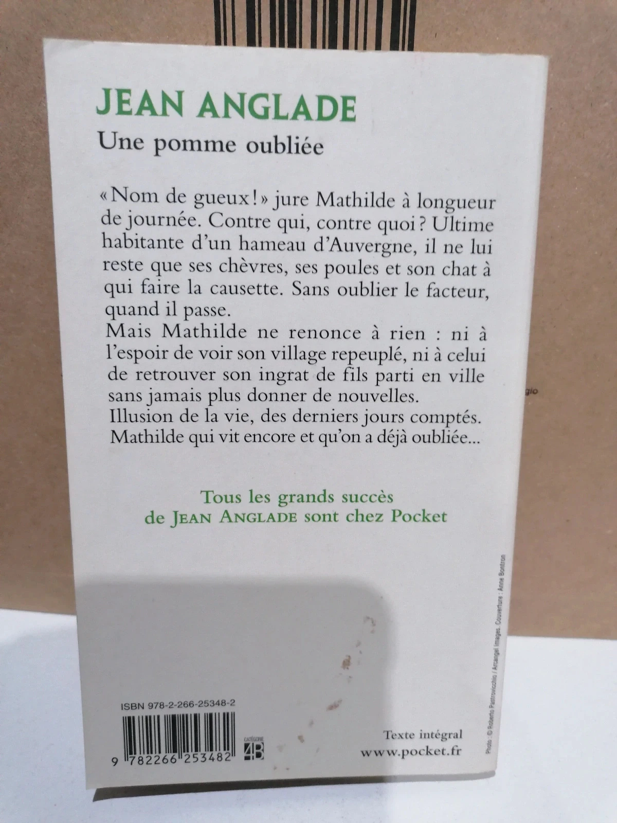 Uma maçã esquecida – photo 2
